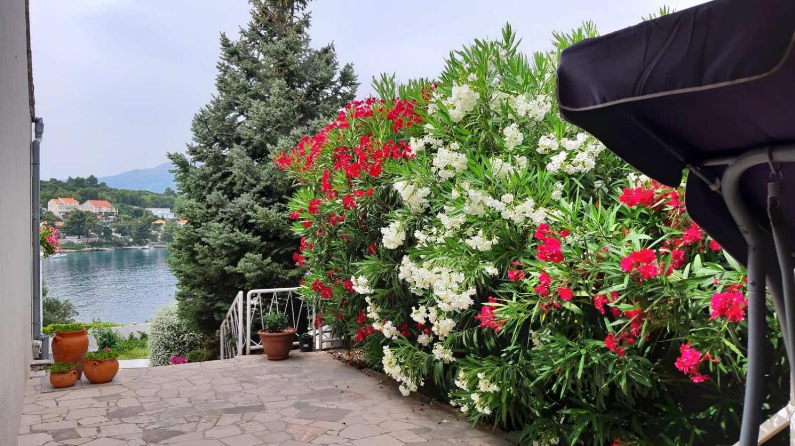 Studio Apartman Kornelija Лумбарда Экстерьер фото